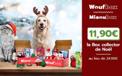 1 Miaoubox de Noël pour chat ou 1 Woufbox de Noël pour chien (jusqu’à 52% de réduction)