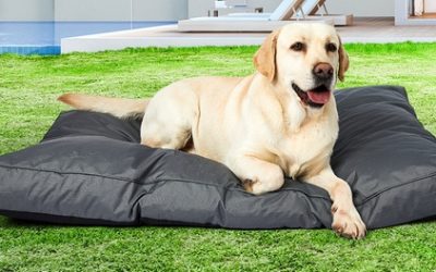 Waterproof Orthopedic Memory Foam Pet Bed: Size M ($39), L ($47) or XL ($55) (Don’t Pay Up To $110)